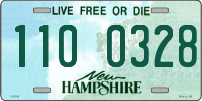 NH license plate 1100328