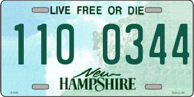 NH license plate 1100344