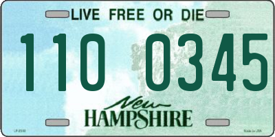 NH license plate 1100345