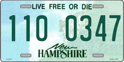 NH license plate 1100347