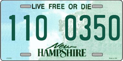 NH license plate 1100350