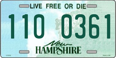 NH license plate 1100361