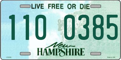 NH license plate 1100385