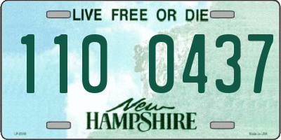 NH license plate 1100437