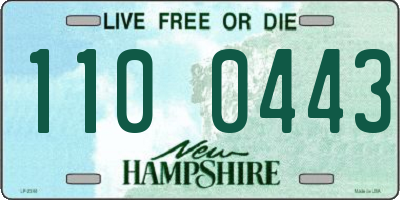 NH license plate 1100443