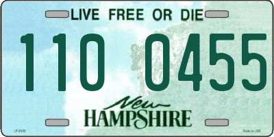 NH license plate 1100455