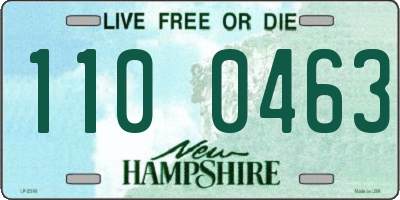 NH license plate 1100463