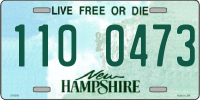 NH license plate 1100473