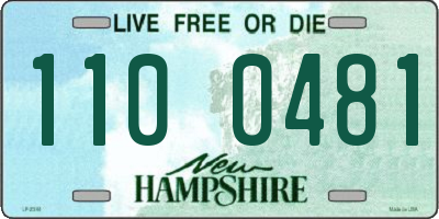 NH license plate 1100481