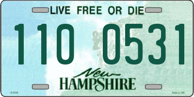 NH license plate 1100531