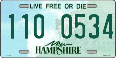 NH license plate 1100534