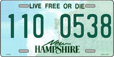 NH license plate 1100538