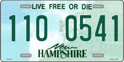 NH license plate 1100541