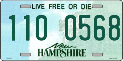 NH license plate 1100568