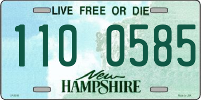 NH license plate 1100585