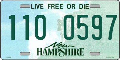 NH license plate 1100597