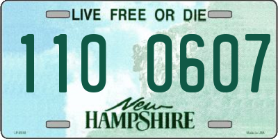 NH license plate 1100607
