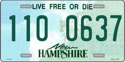 NH license plate 1100637