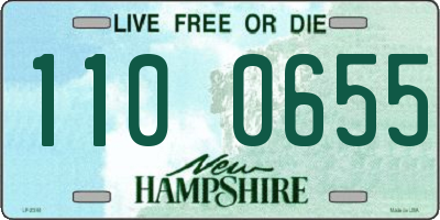NH license plate 1100655