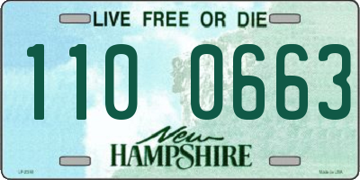 NH license plate 1100663