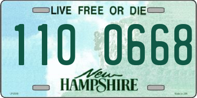 NH license plate 1100668