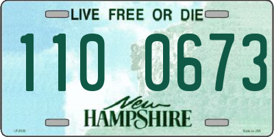 NH license plate 1100673