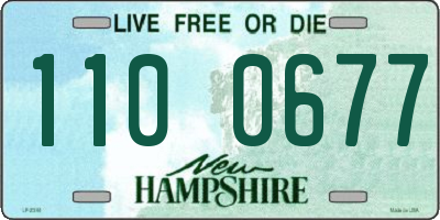 NH license plate 1100677