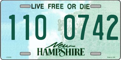NH license plate 1100742