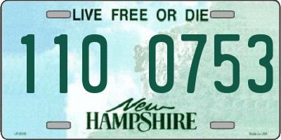 NH license plate 1100753