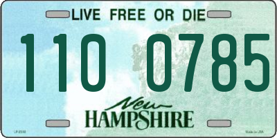 NH license plate 1100785
