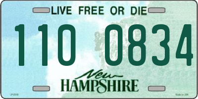 NH license plate 1100834