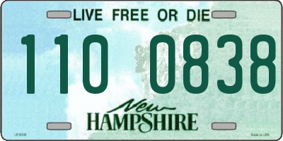 NH license plate 1100838