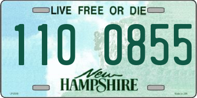 NH license plate 1100855