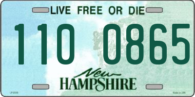 NH license plate 1100865