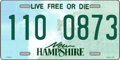 NH license plate 1100873