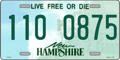NH license plate 1100875