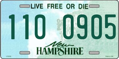 NH license plate 1100905