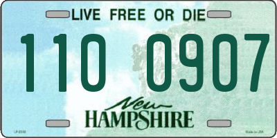 NH license plate 1100907