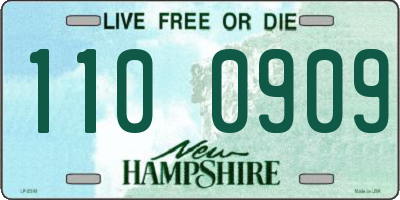 NH license plate 1100909