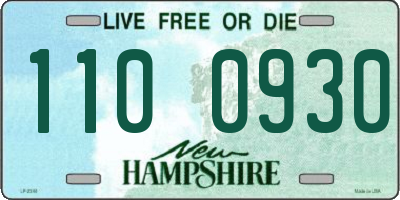 NH license plate 1100930