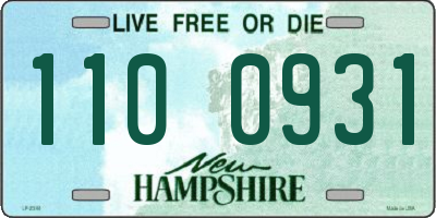 NH license plate 1100931