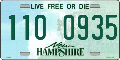 NH license plate 1100935