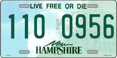 NH license plate 1100956