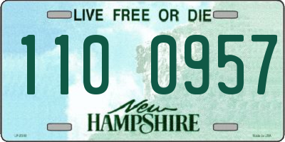 NH license plate 1100957