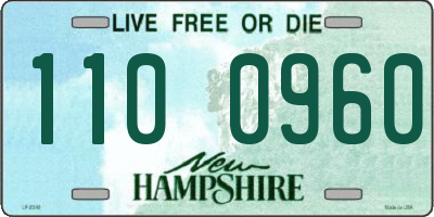 NH license plate 1100960
