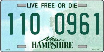NH license plate 1100961