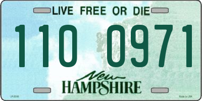 NH license plate 1100971