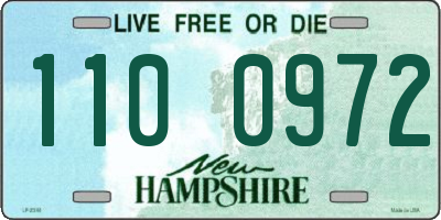 NH license plate 1100972