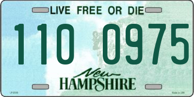 NH license plate 1100975