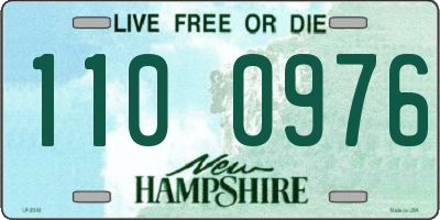 NH license plate 1100976